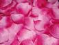 Mobile Preview: Rosa Pink Rosenblblütenblätter Künstlich zur Tischdekoration und Hochzeit