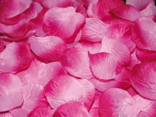 Rosa Pink Rosenblblütenblätter Künstlich zur Tischdekoration und Hochzeit